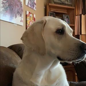 Meet your Posher, Sue